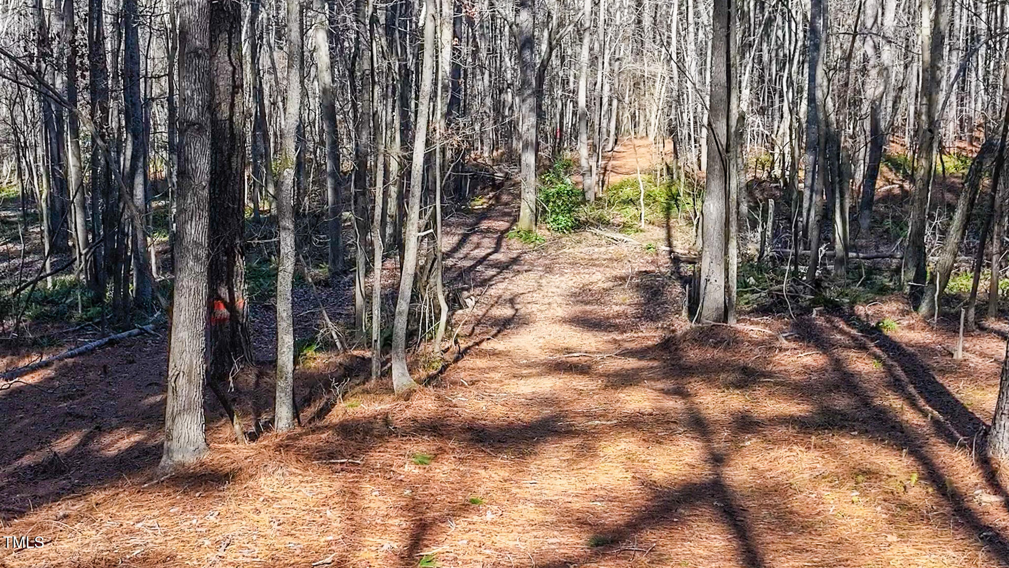 Off J B Morgan Road Apex, NC 27523 - Photo 11 of 14 a view of outdoor space and yard