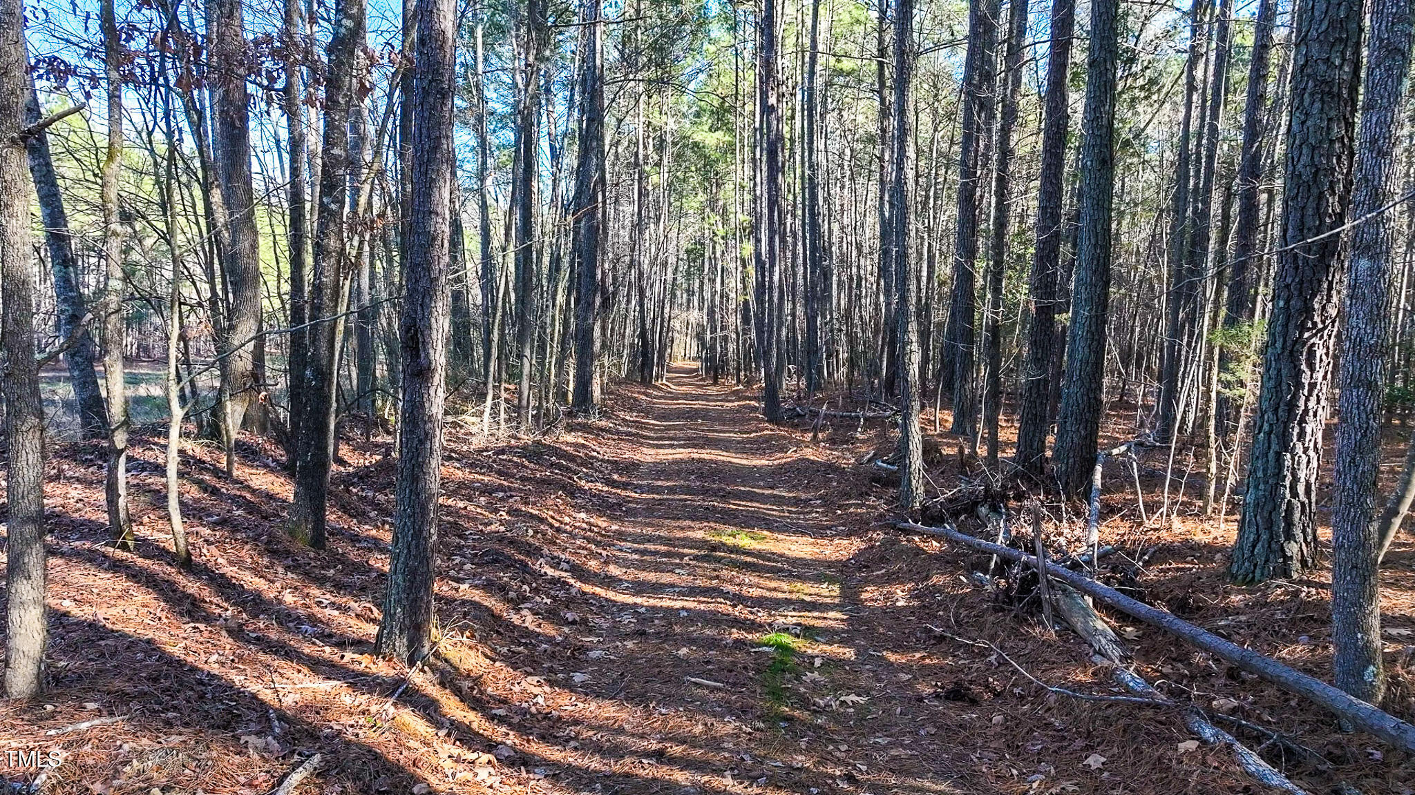 Off J B Morgan Road Apex, NC 27523 - Photo 7 of 14 a view of a backyard with trees