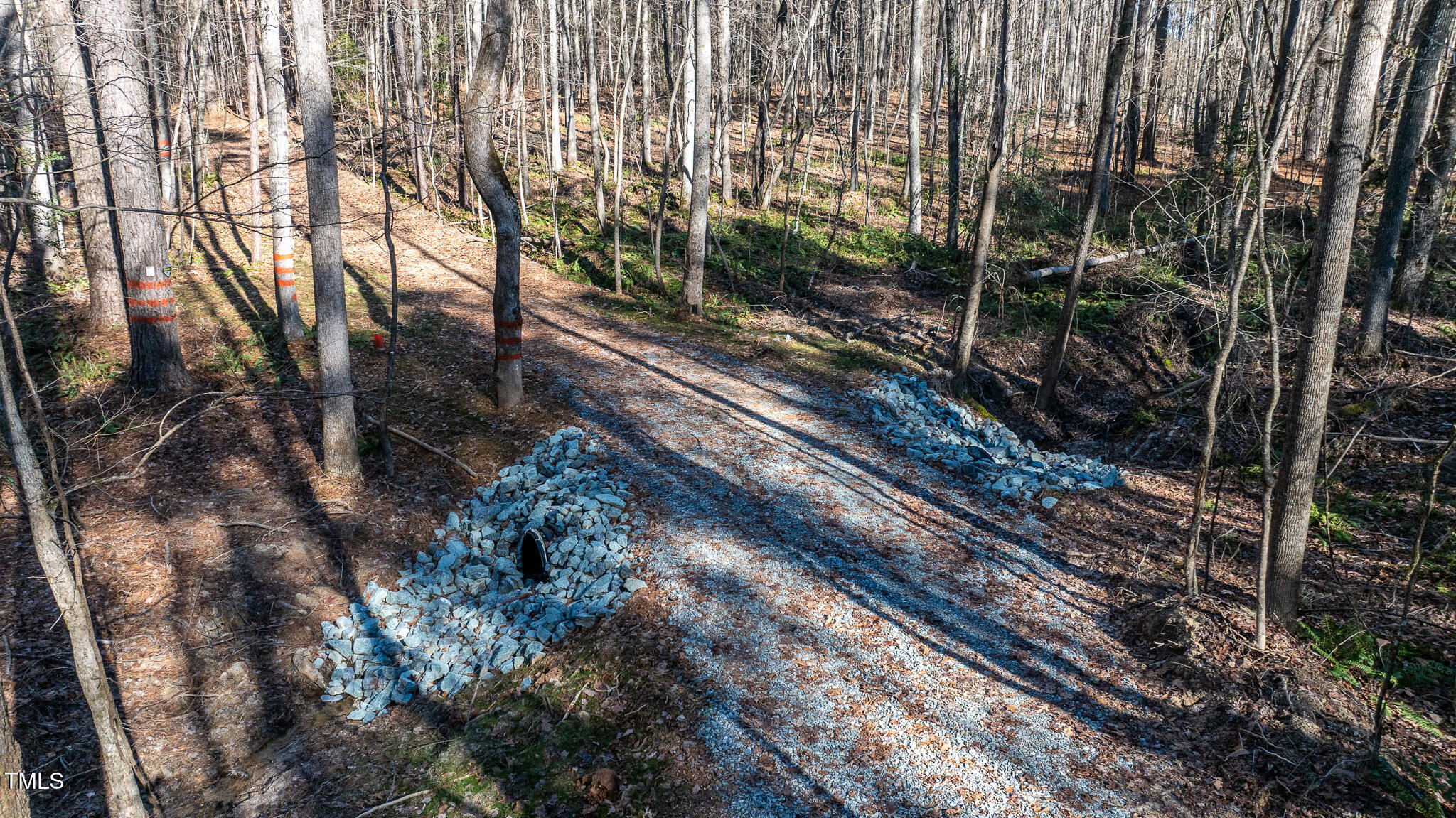 Off J B Morgan Road Apex, NC 27523 - Photo 9 of 14 a view of a yard with large trees and plants
