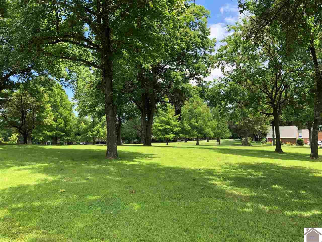 110 Troon Road, Unit 24 25 Paducah, KY 42001 - Photo 1 of 1 Photo 1