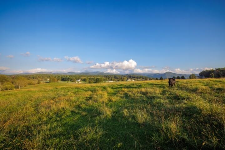 47-acres 47-acres Lee Highway North Raphine, VA 24472 - Photo 15 of 24
