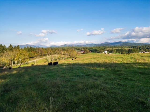 47-acres 47-acres Lee Highway North Raphine, VA 24472 - Photo 19 of 24