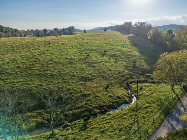 47-acres 47-acres Lee Highway North Raphine, VA 24472 - Photo 4 of 24