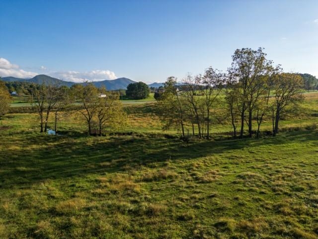 47-acres 47-acres Lee Highway North Raphine, VA 24472 - Photo 7 of 24