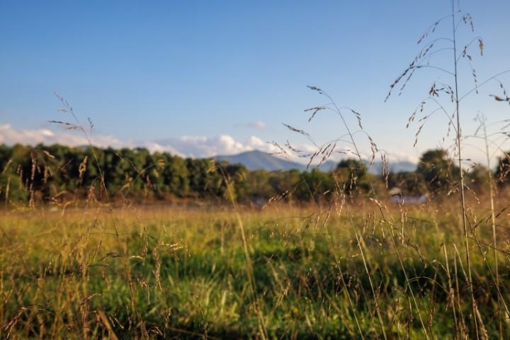 47-acres 47-acres Lee Highway North Raphine, VA 24472 - Photo 9 of 24