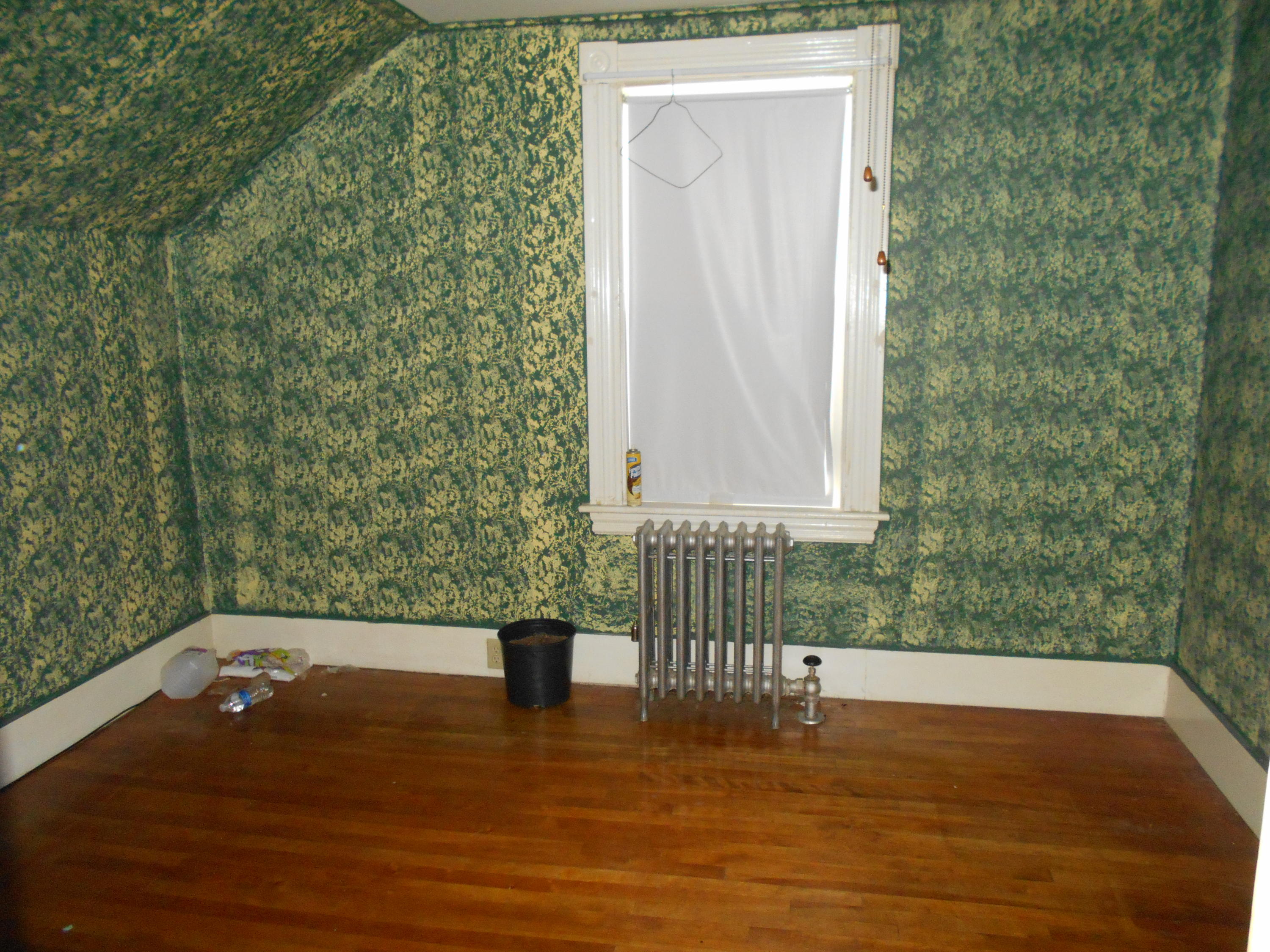 121 Poplar Street Millinocket, ME 04462 - Photo 19 of 24 DSCN4046