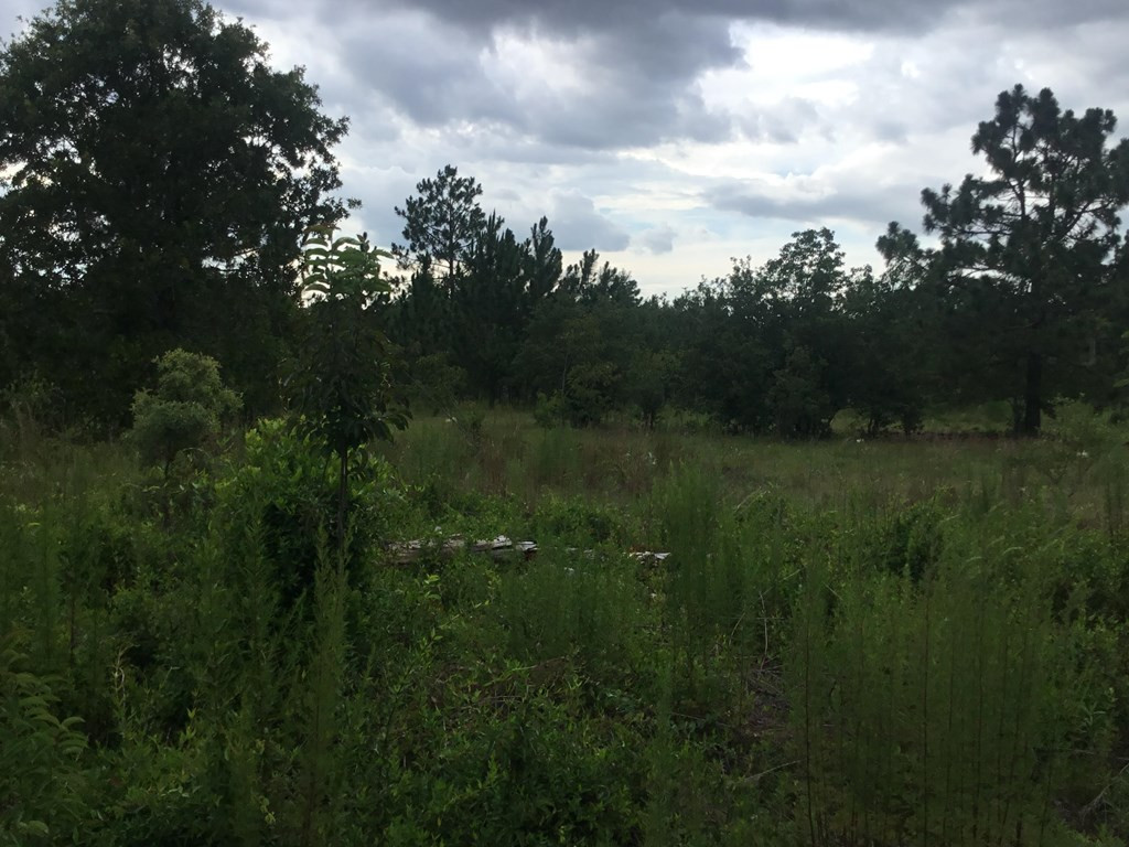 1004 Kedron Church Road Aiken, SC 29805 - Photo 16 of 21