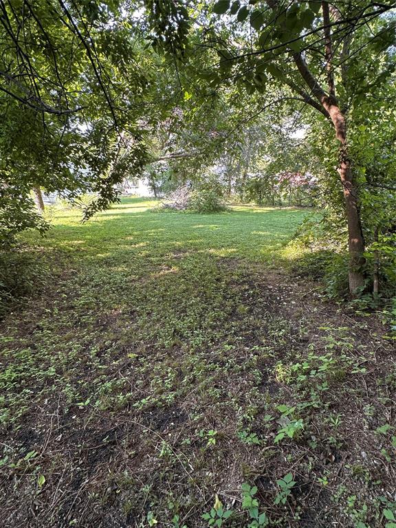 420 Denton Street Howe, TX 75459 - Photo 5 of 10