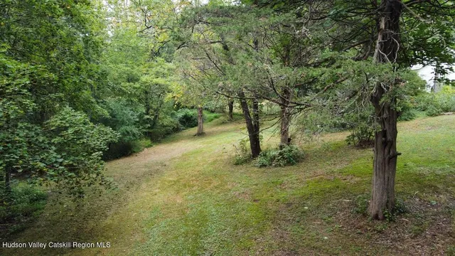 a view of a yard with a tree