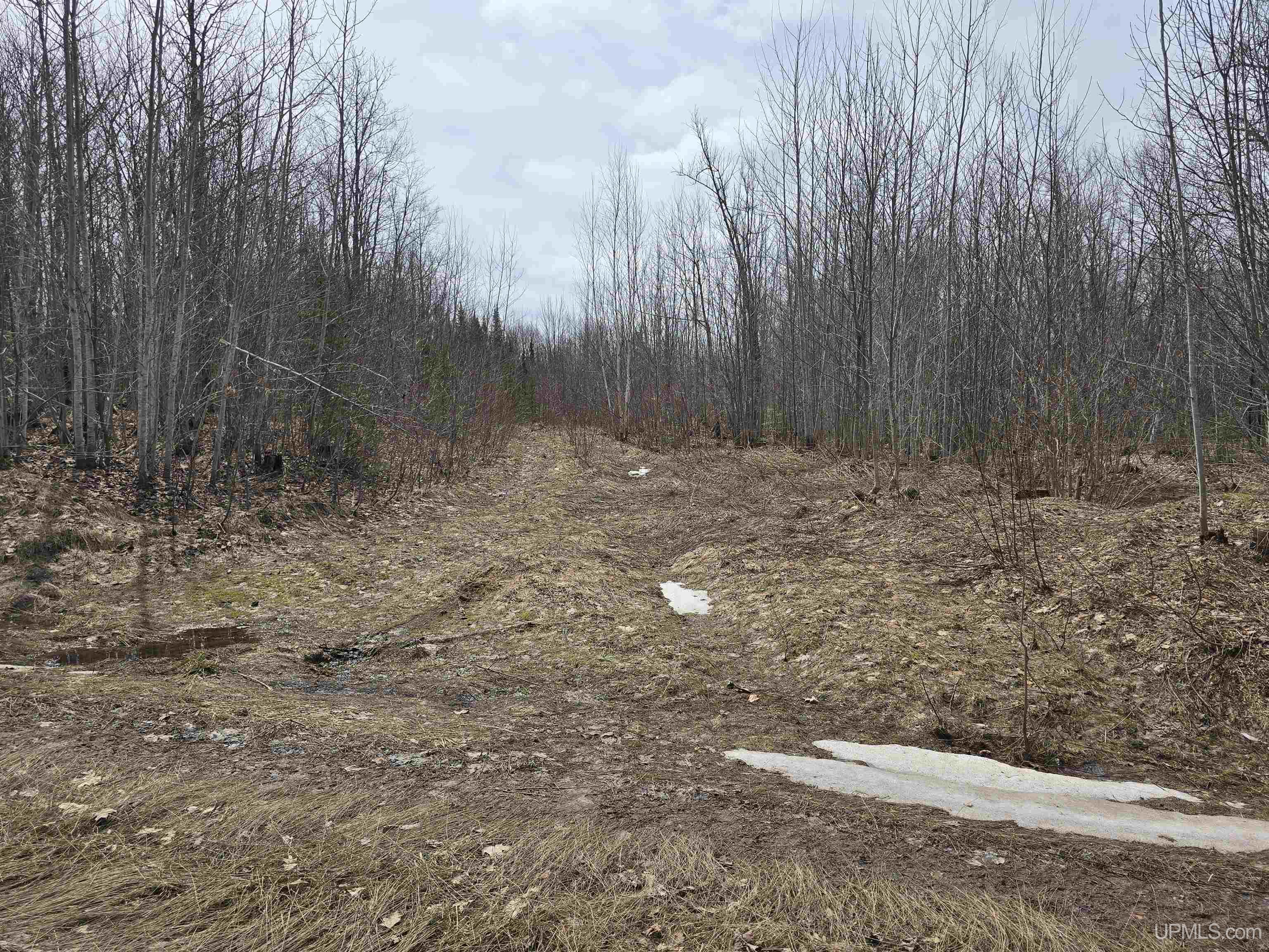 Tbd Woodspur Road Ontonagon, MI 49953 - Photo 24 of 46