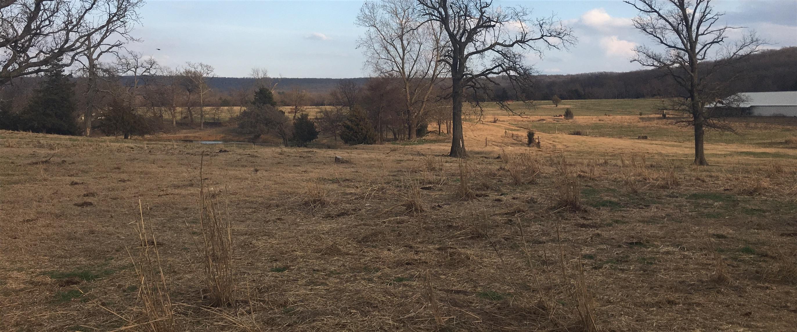 13038 Cincinnati Road Summers, AR 72769 - Photo 25 of 26 Gallery Image 25