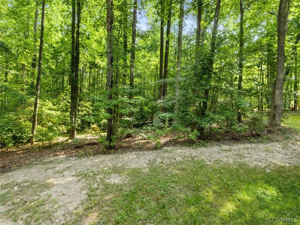 2412 Log Cabin Road Maidens, VA 23102 - Photo 25 of 27