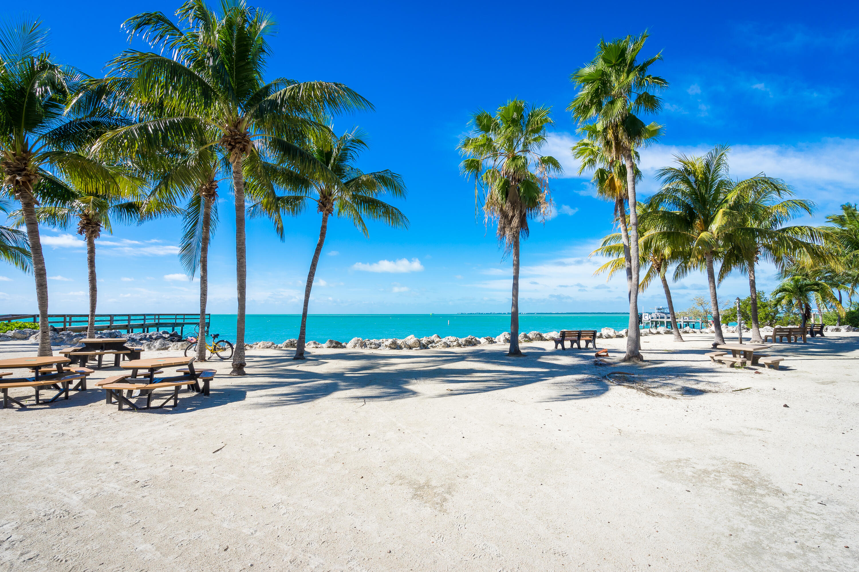260 Sadowski Causeway Key Colony Beach, FL 33051 - Photo 39 of 50 a row of palm trees on the ocean with palm trees