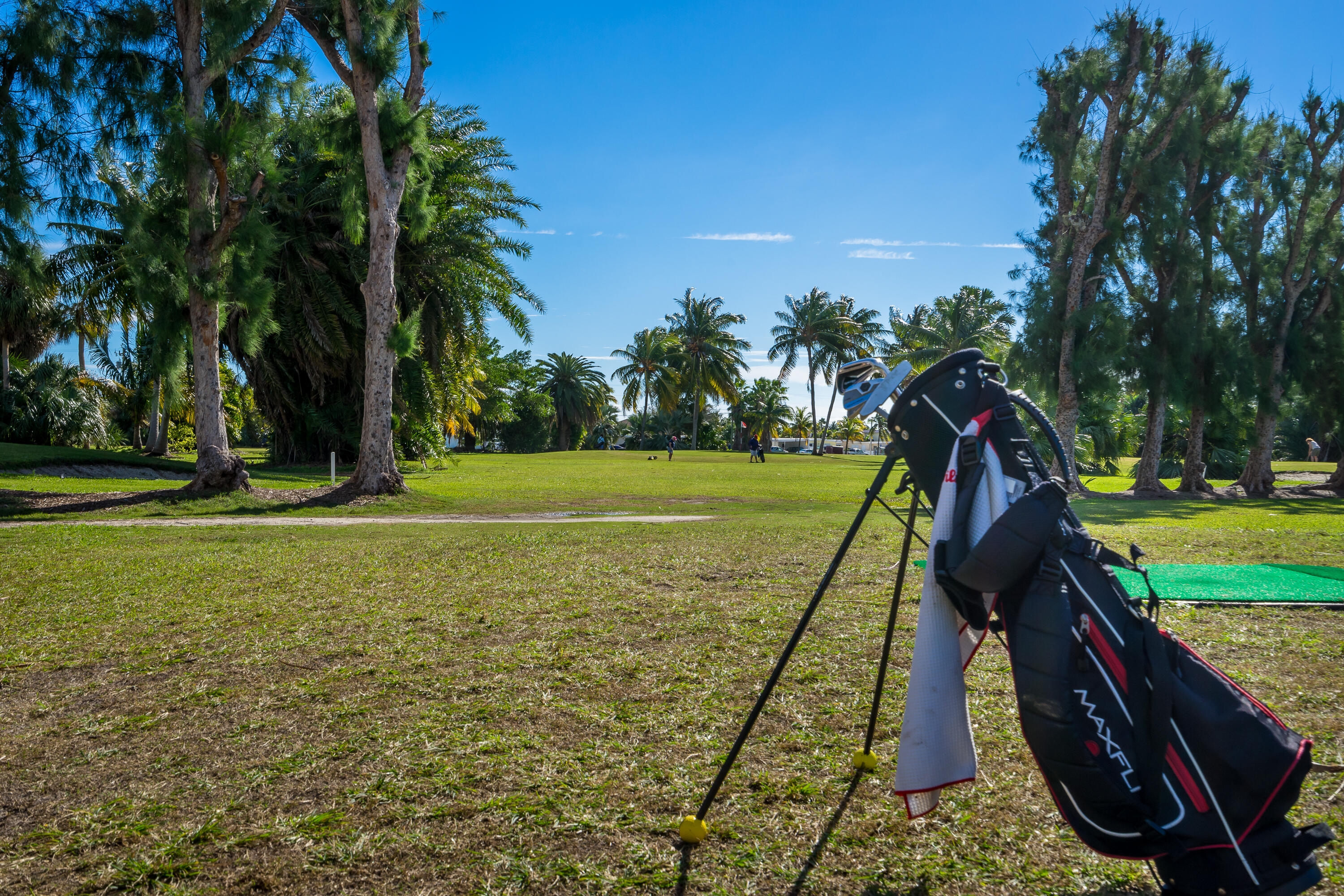 260 Sadowski Causeway Key Colony Beach, FL 33051 - Photo 45 of 50 Greens