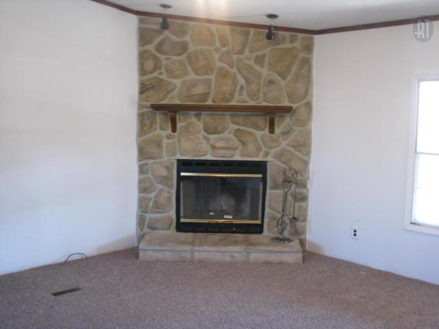 1010 Promise Land Road Charlotte, TN 37036 - Photo 3 of 10 Gallery Image 3