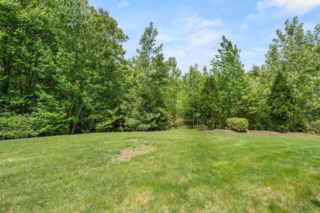 28 Patriots Boulevard, Unit 28 Hopkinton, MA 01748 - Photo 25 of 28 a view of garden with trees