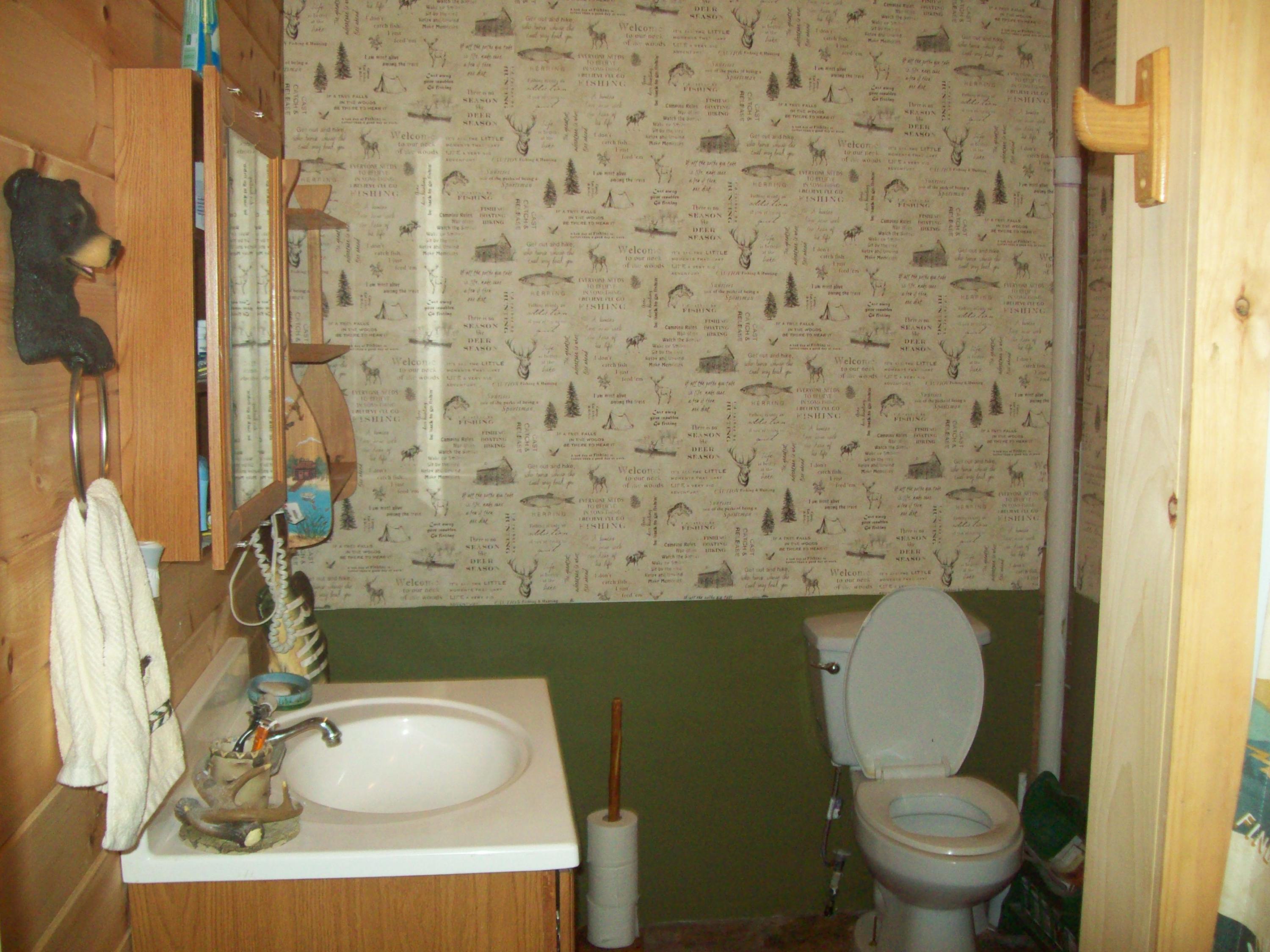 159 Cobb Road Lee, ME 04455 - Photo 27 of 45 100_2139