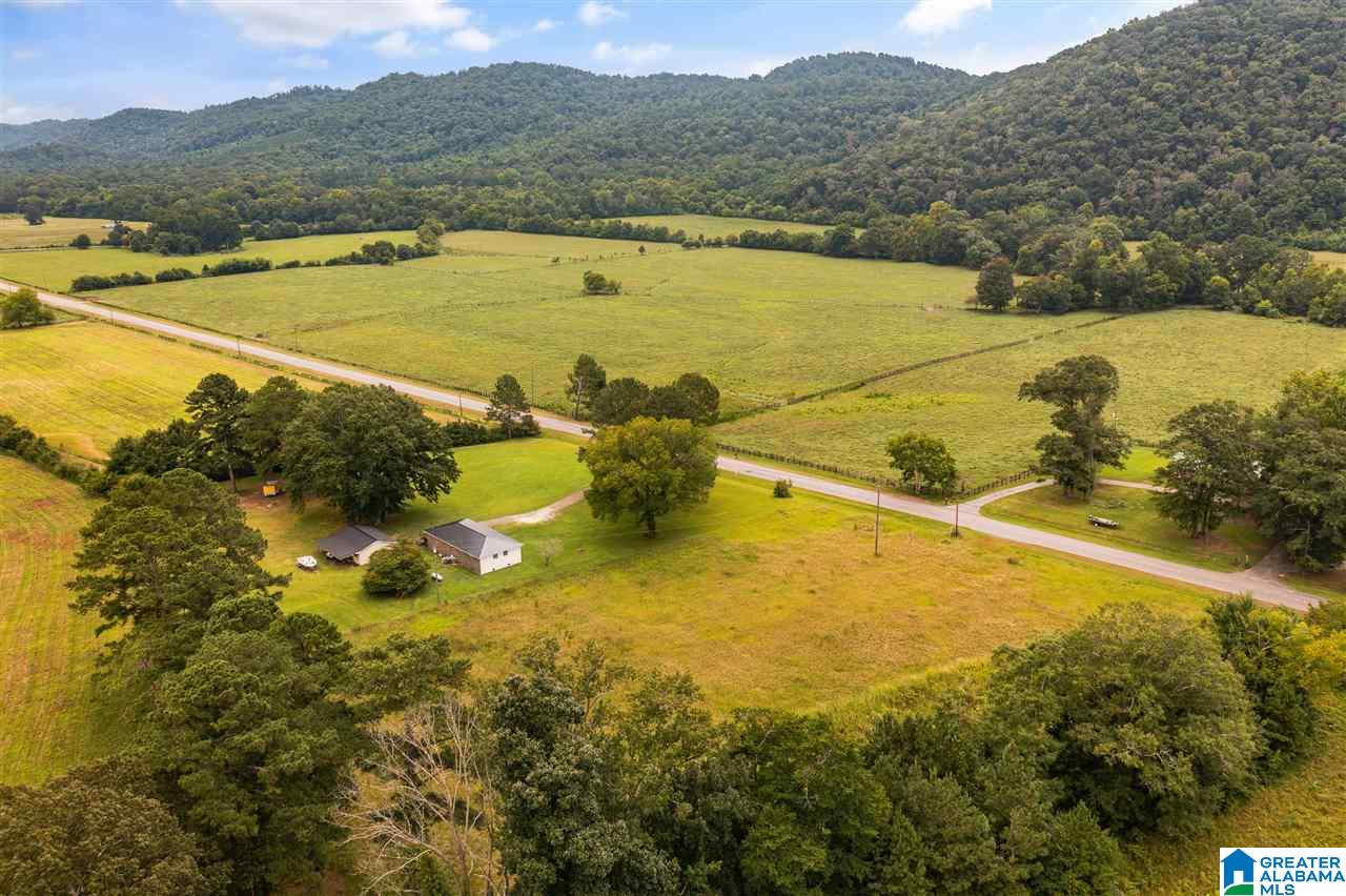 6005 Greensport Road Ashville, AL 35953 - Photo 32 of 36