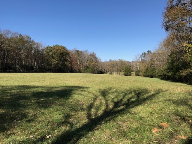0 Lunns Store Road Chapel Hill, TN 37034 - Photo 1 of 11 Gallery Image 1
