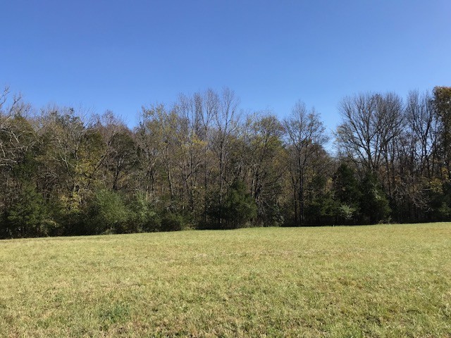 0 Lunns Store Road Chapel Hill, TN 37034 - Photo 11 of 11 Gallery Image 11