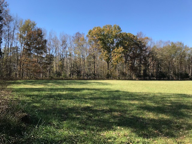 0 Lunns Store Road Chapel Hill, TN 37034 - Photo 3 of 11 Gallery Image 3