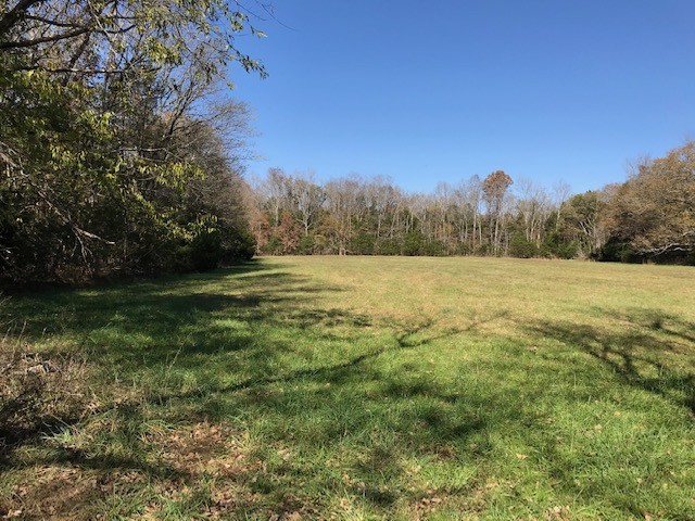 0 Lunns Store Road Chapel Hill, TN 37034 - Photo 4 of 11 Gallery Image 4