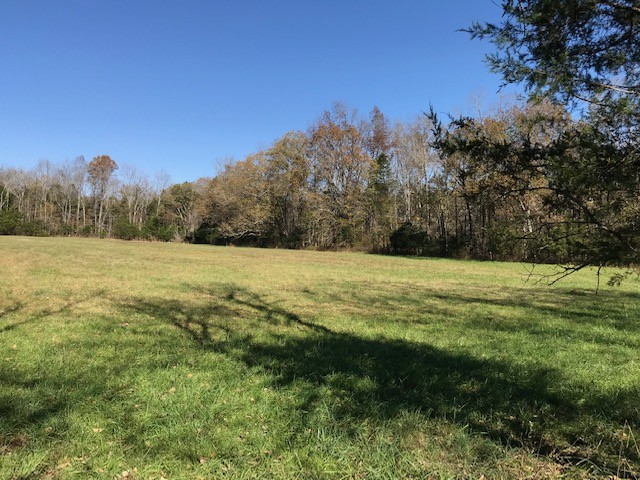 0 Lunns Store Road Chapel Hill, TN 37034 - Photo 5 of 11 Gallery Image 5