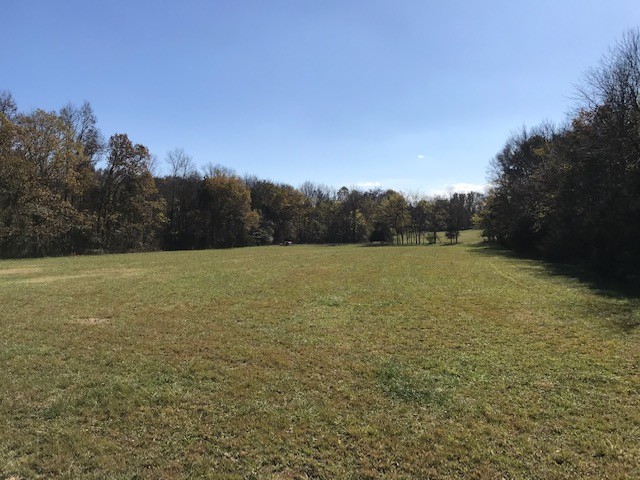 0 Lunns Store Road Chapel Hill, TN 37034 - Photo 6 of 11 Gallery Image 6
