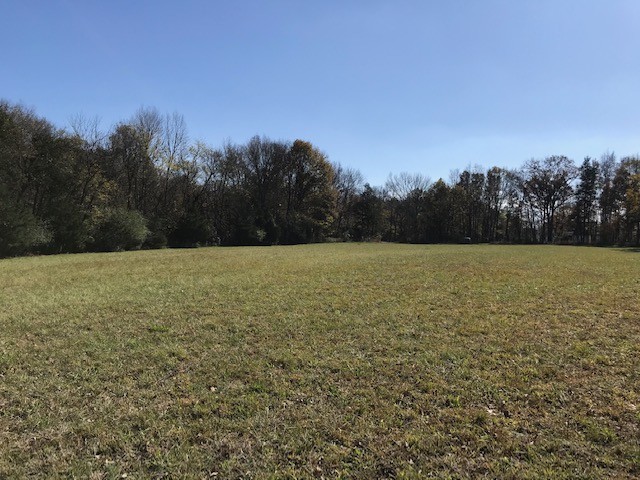 0 Lunns Store Road Chapel Hill, TN 37034 - Photo 8 of 11 Gallery Image 8