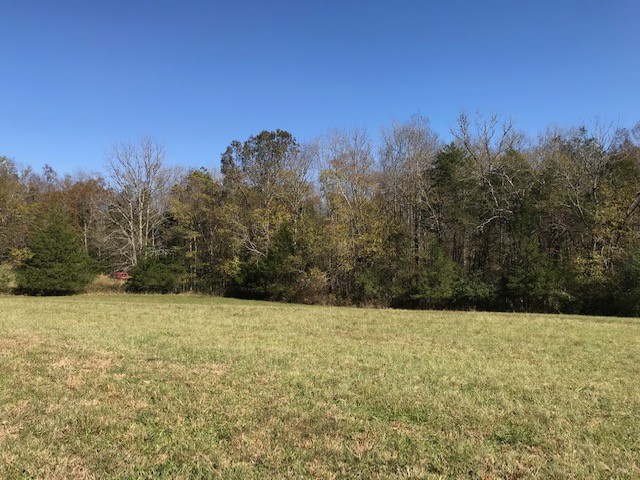 0 Lunns Store Road Chapel Hill, TN 37034 - Photo 10 of 11 Gallery Image 10