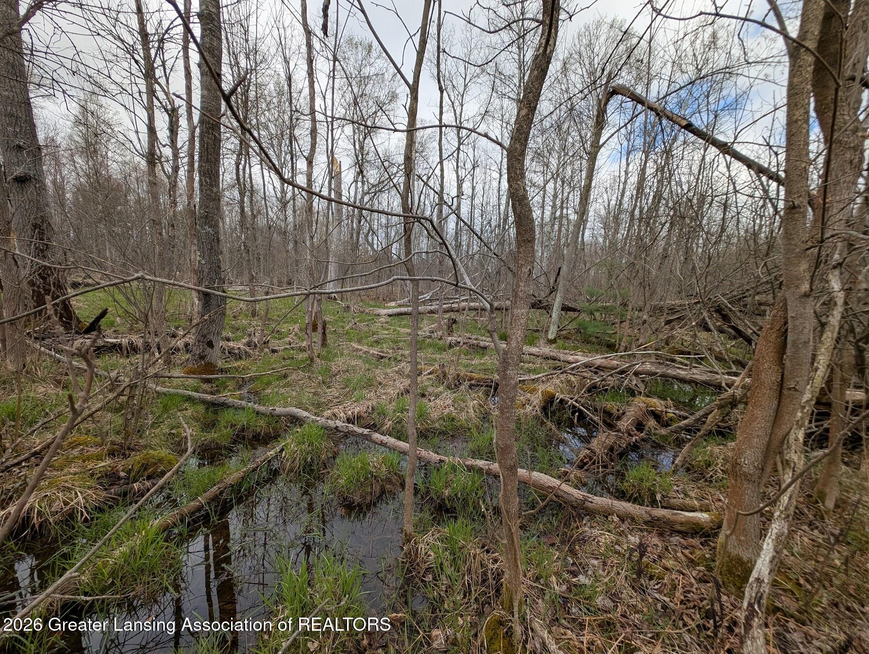 15744 Creamery Road Kaleva, MI 49645 - Photo 11 of 17 Lowland 3