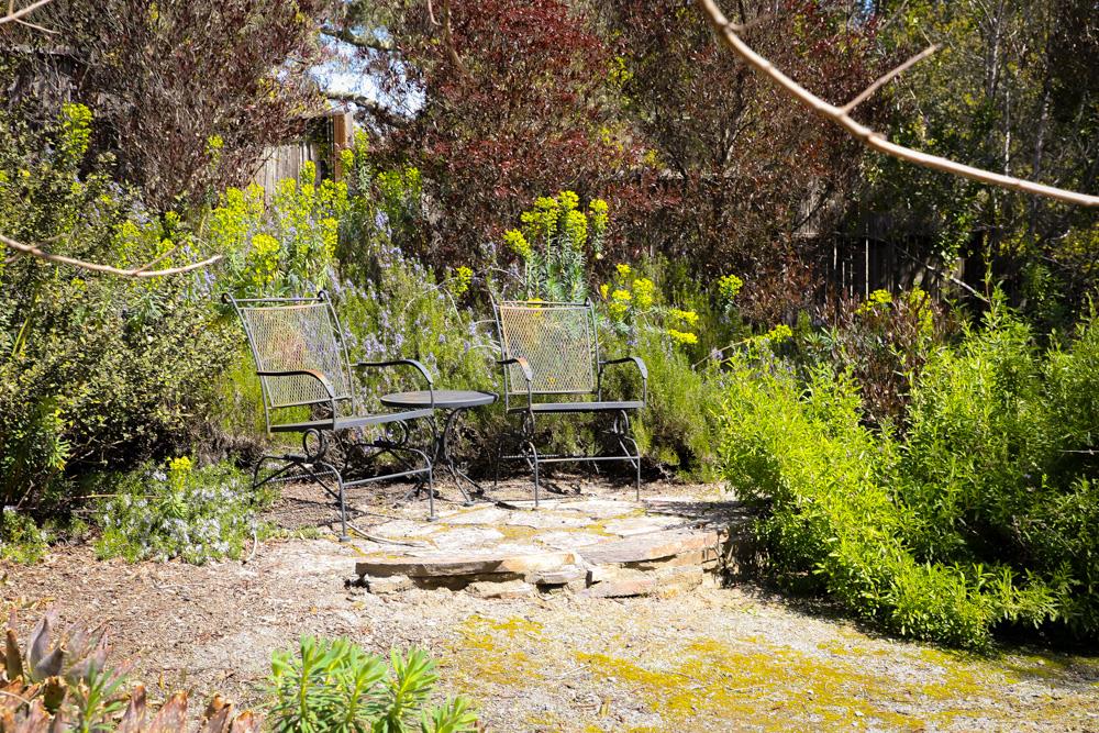 223 Nehf Lane Soquel, CA 95073 - Photo 26 of 34 a view of yard along with trees
