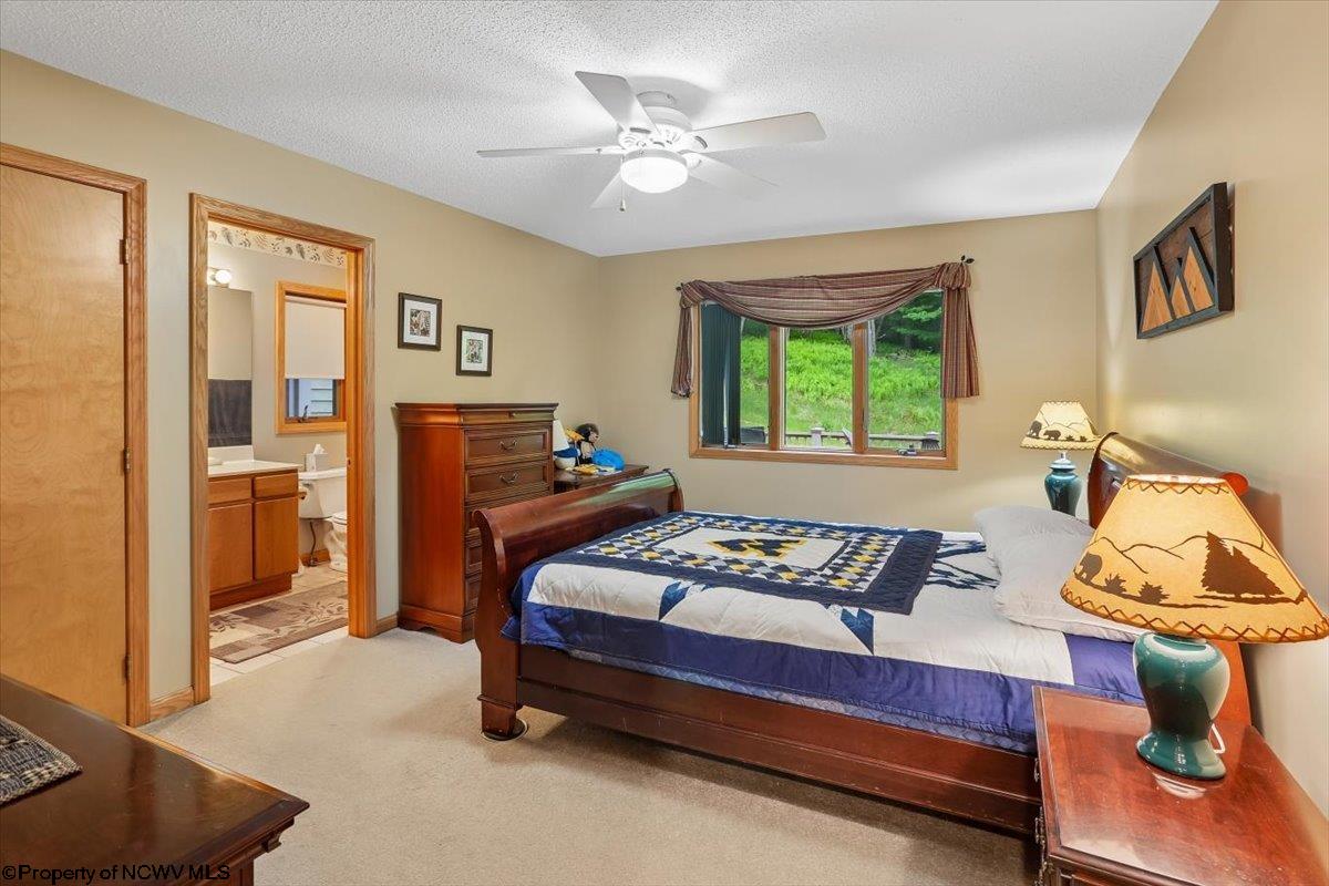 2256 Cabin Mountain Road Davis, WV 26260 - Photo 20 of 43 Gallery Image 20