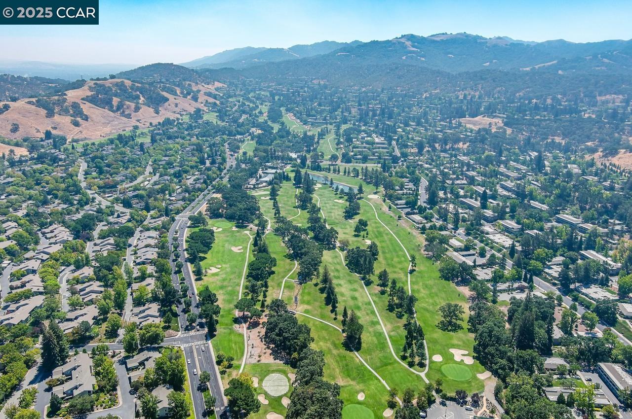 1400 Ptarmigan Drive, Unit 2 Walnut Creek, CA 94595 - Photo 39 of 44 a view of a city with tall trees