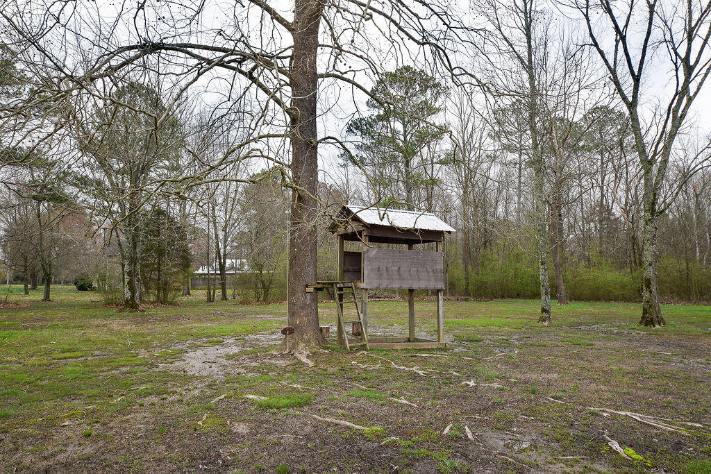 1013 Horton Road Southeast Cleveland, TN 37323 - Photo 36 of 46 DSC_8981