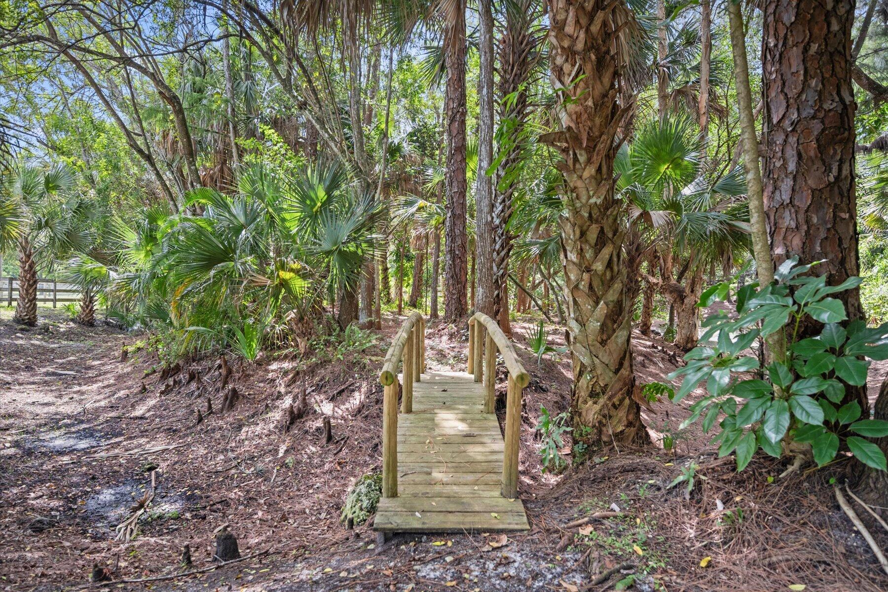 2454-2376 E Road Loxahatchee, FL 33470 - Photo 45 of 51 089-DSC_6477