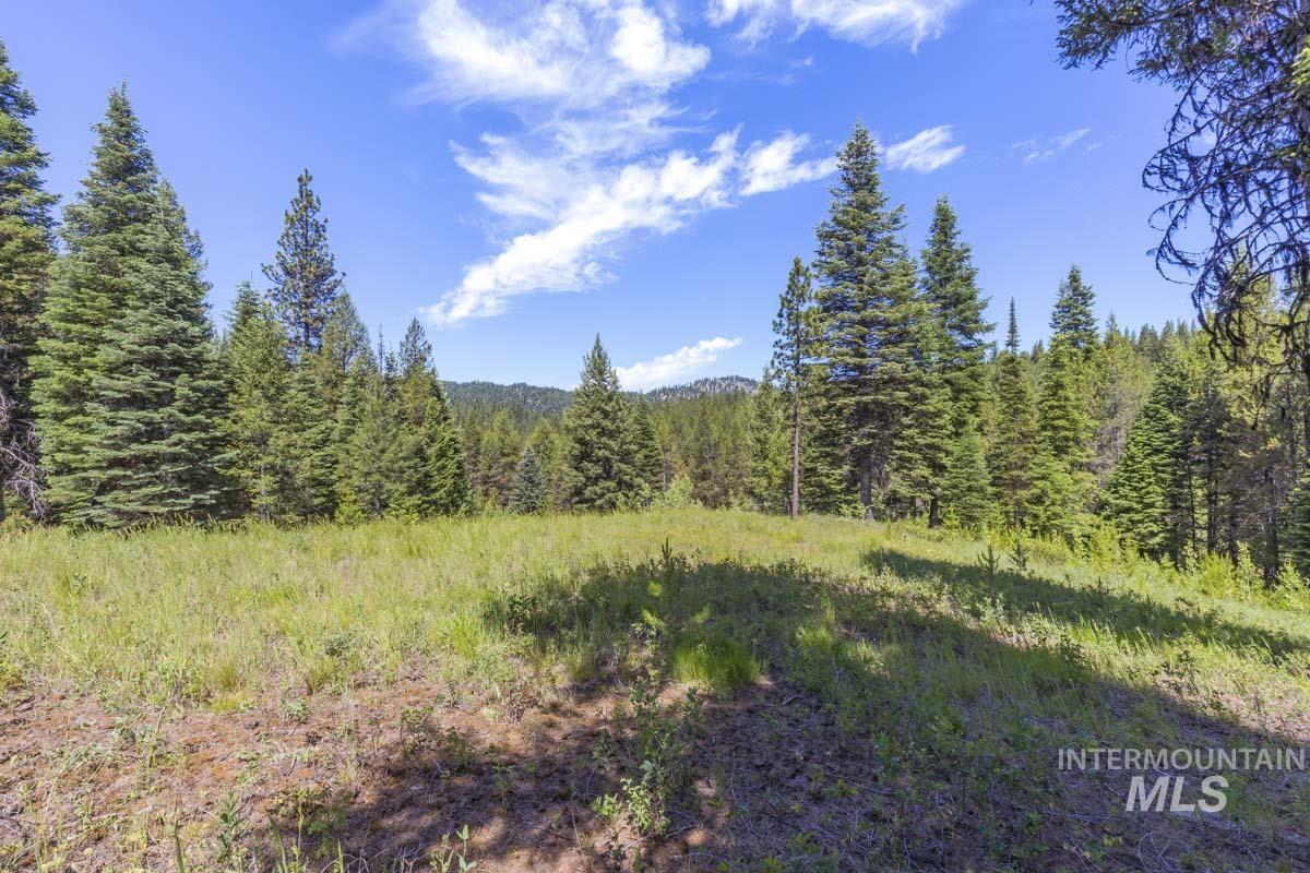 178 Tripod View Drive Cascade, ID 83611 - Photo 2 of 35