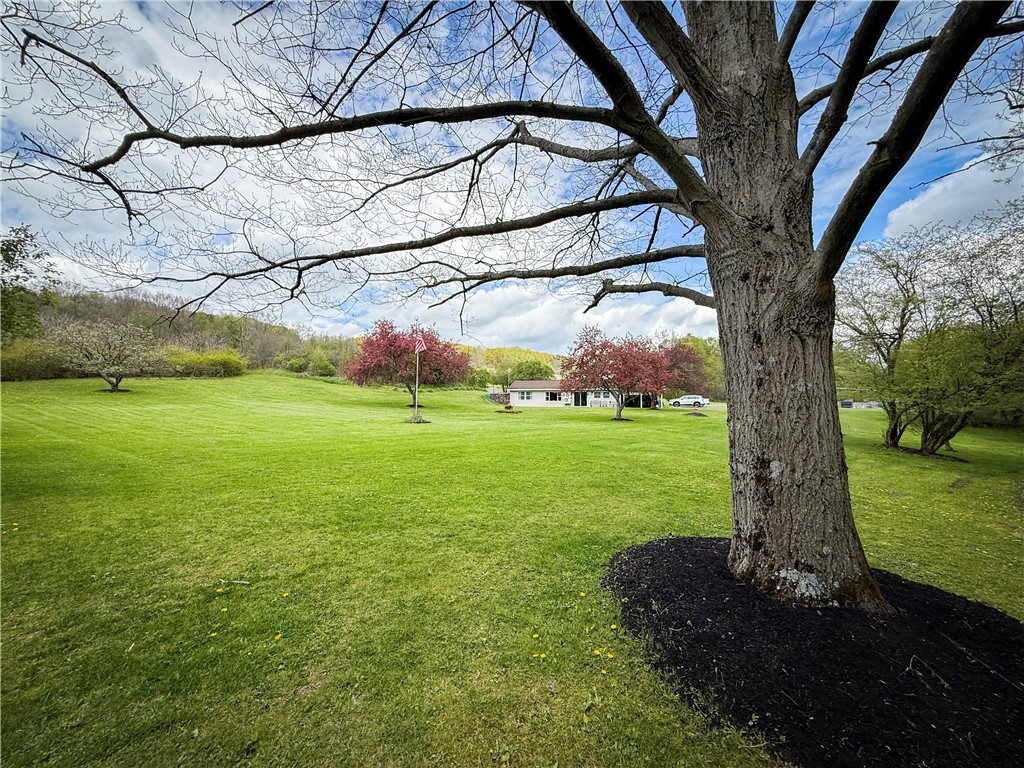 5360 Church Road Moravia, NY 13118 - Photo 7 of 50