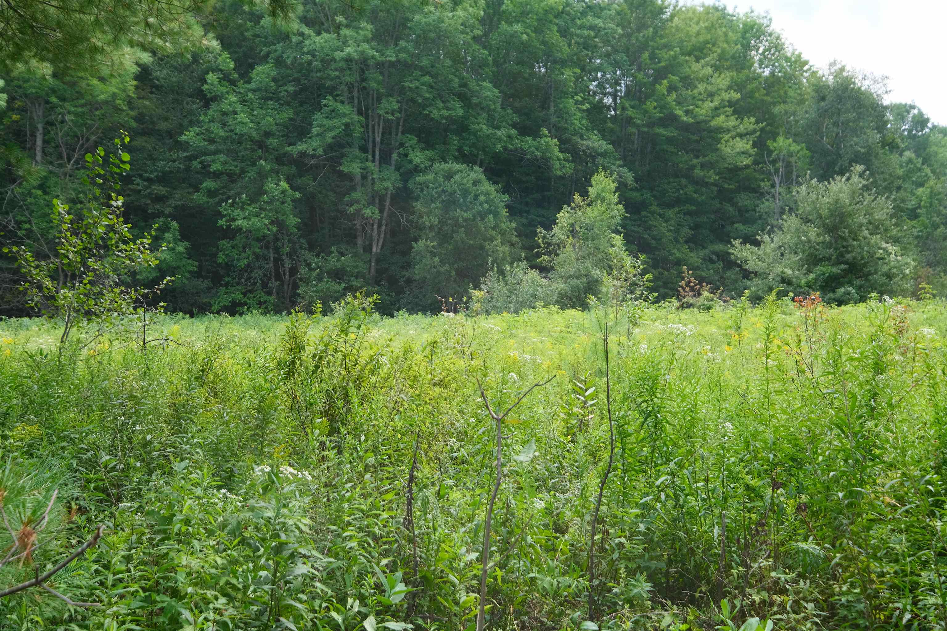 525 Station Road, Unit 2 Mount Holly, VT 05758 - Photo 11 of 20