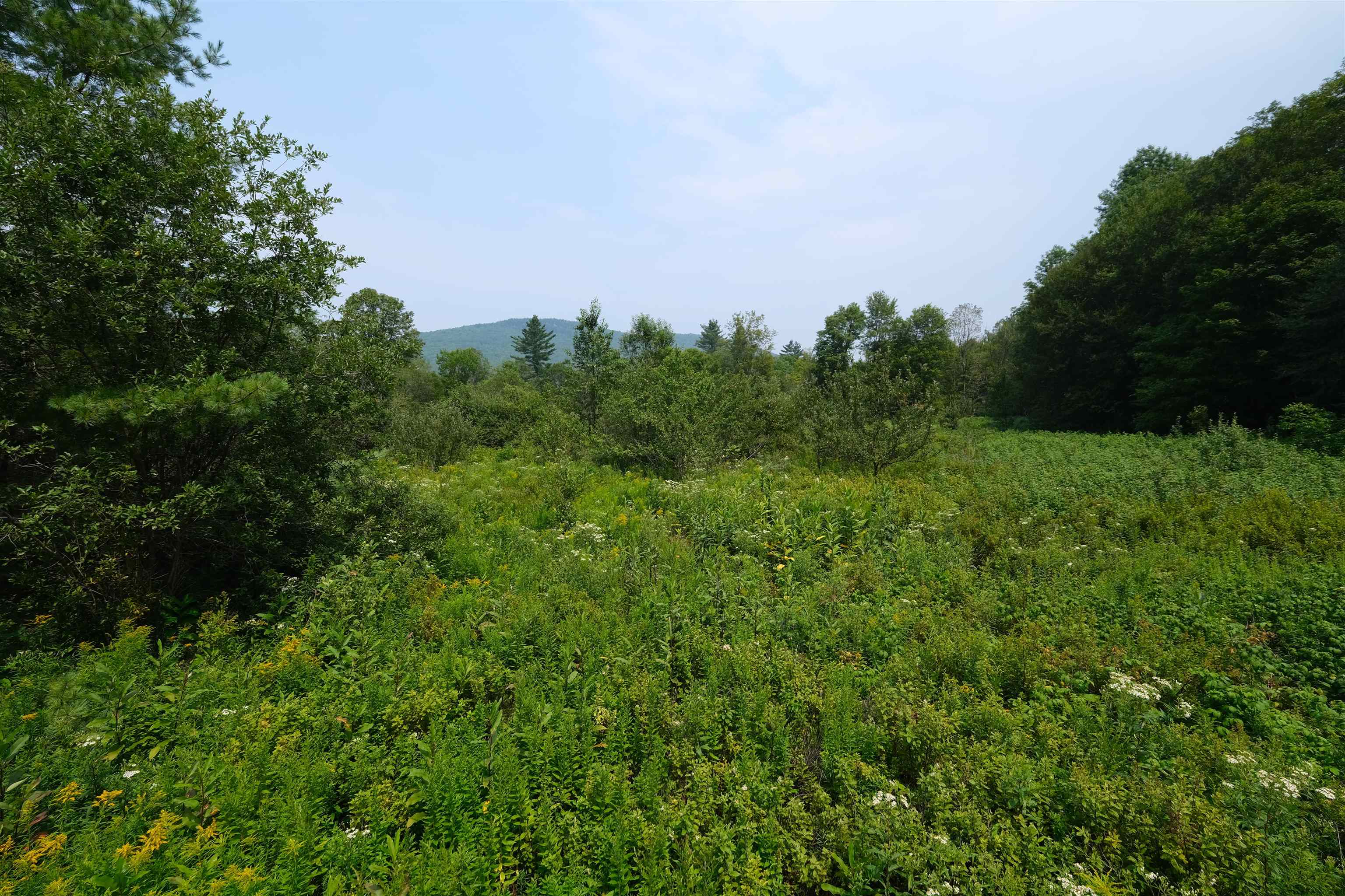 525 Station Road, Unit 2 Mount Holly, VT 05758 - Photo 8 of 20