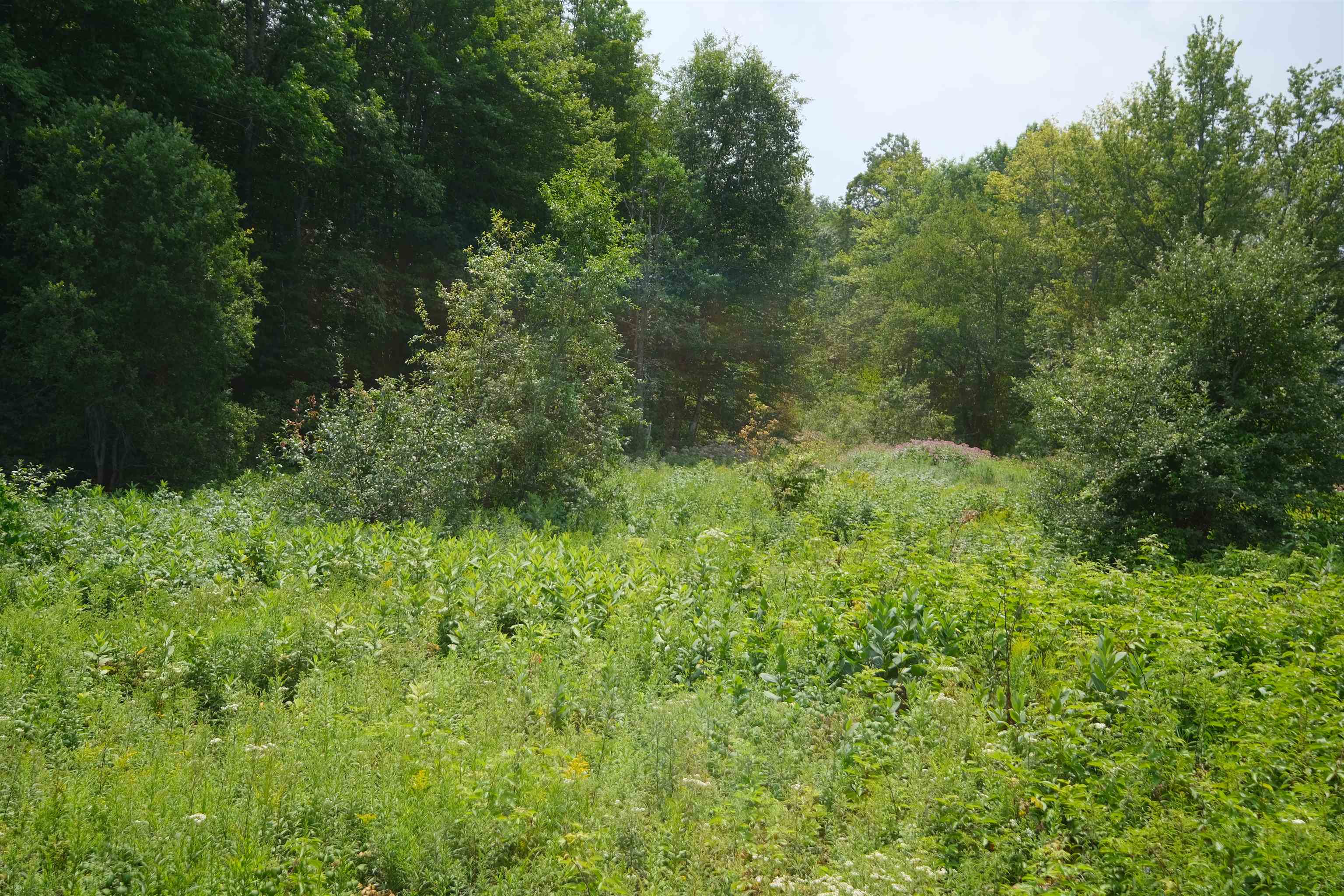 525 Station Road, Unit 2 Mount Holly, VT 05758 - Photo 10 of 20