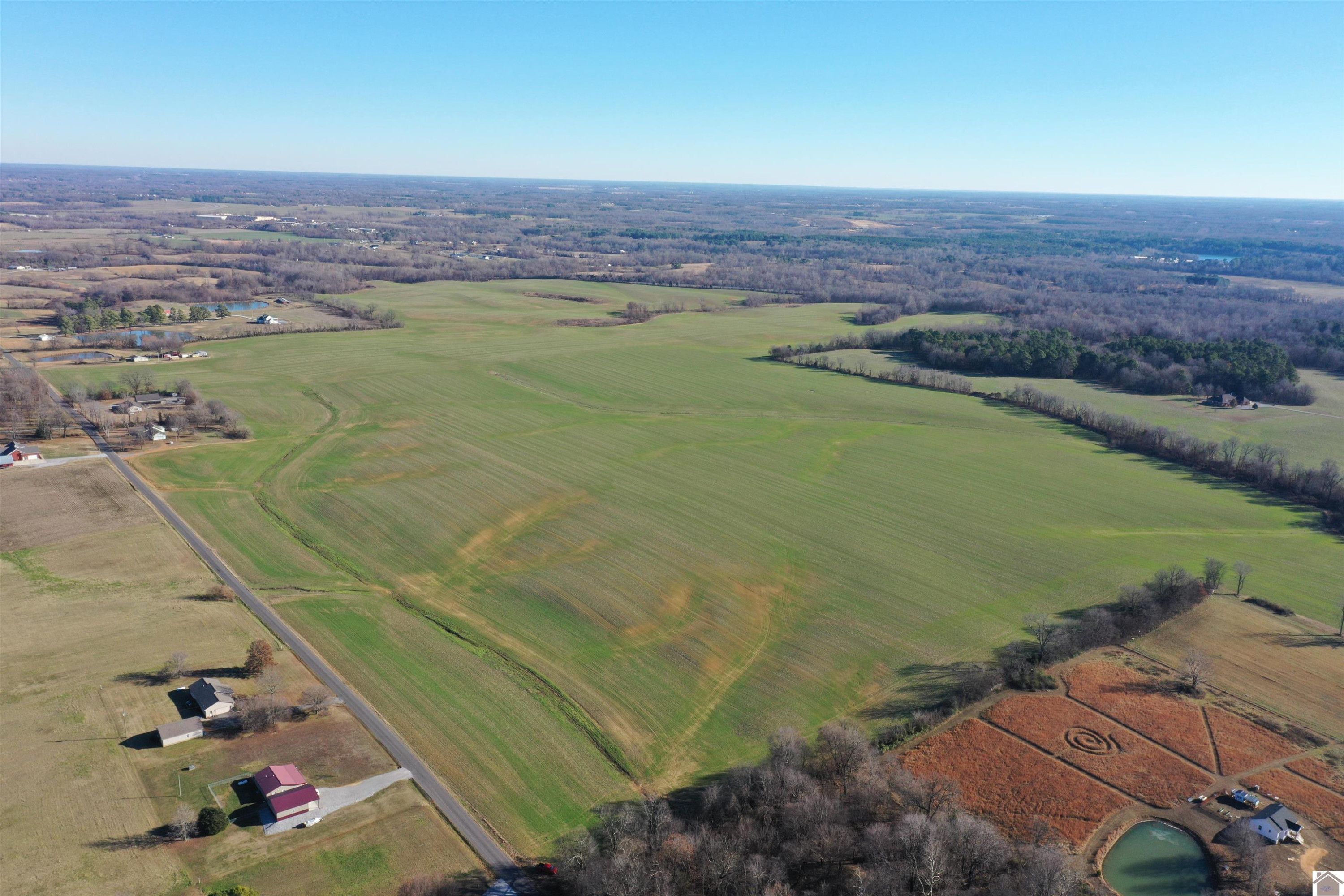 2323 Cardinal Road Mayfield, KY 42066 - Photo 8 of 23 Photo 8