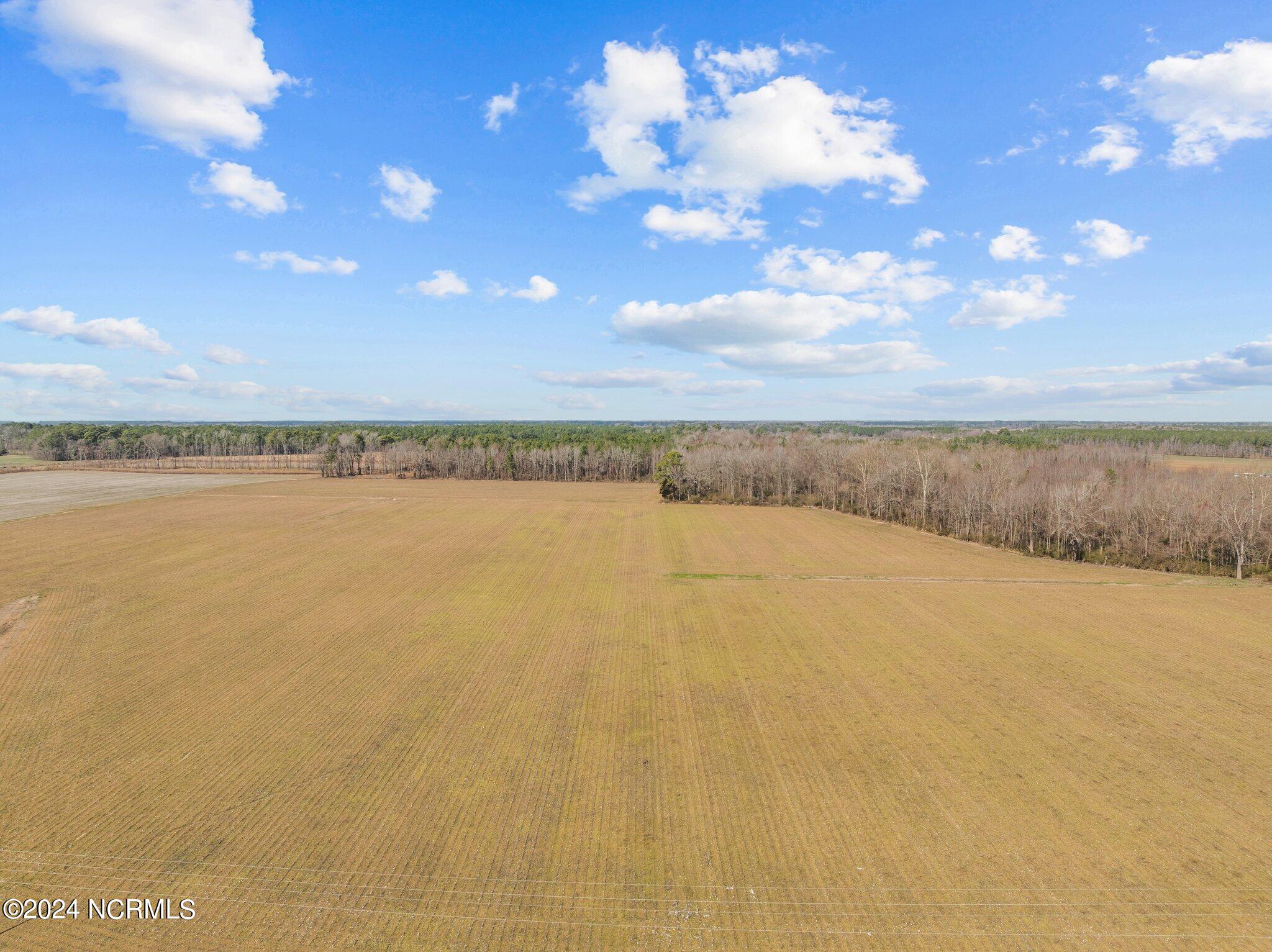 3324 Staton Mill Road Robersonville, NC 27871 - Photo 51 of 51 51-web-or-mls-DJI_0146