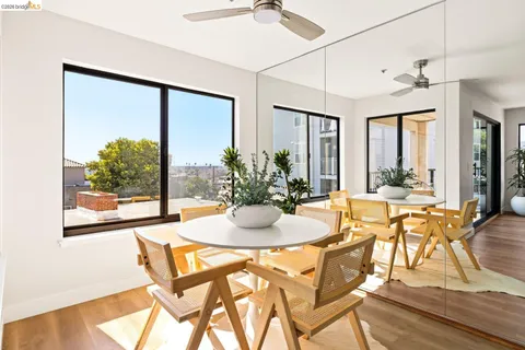 a kitchen with sink and a potted plant