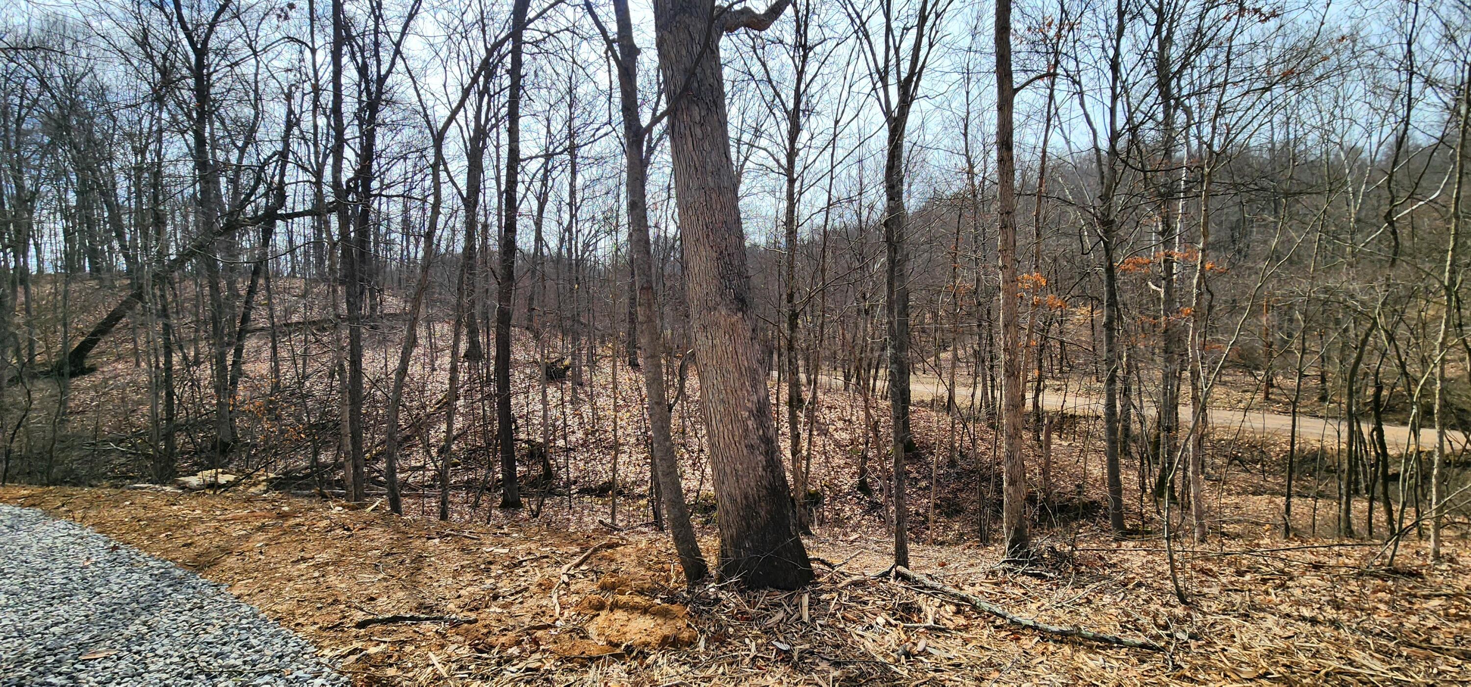 0 Edmundson Road, Unit TRACT 4 AT BIG TIMBER) Vinton, OH 45686 - Photo 17 of 67 18