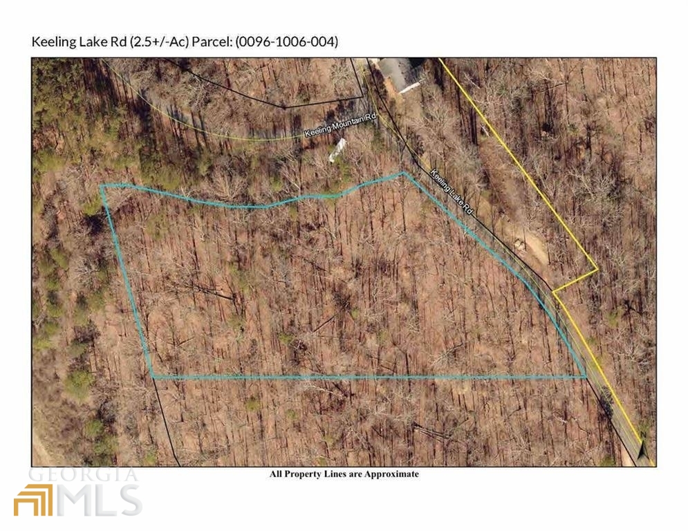 0 Keeling Lake Road Cartersville, GA 30121 - Photo 1 of 1 Gallery Image 1