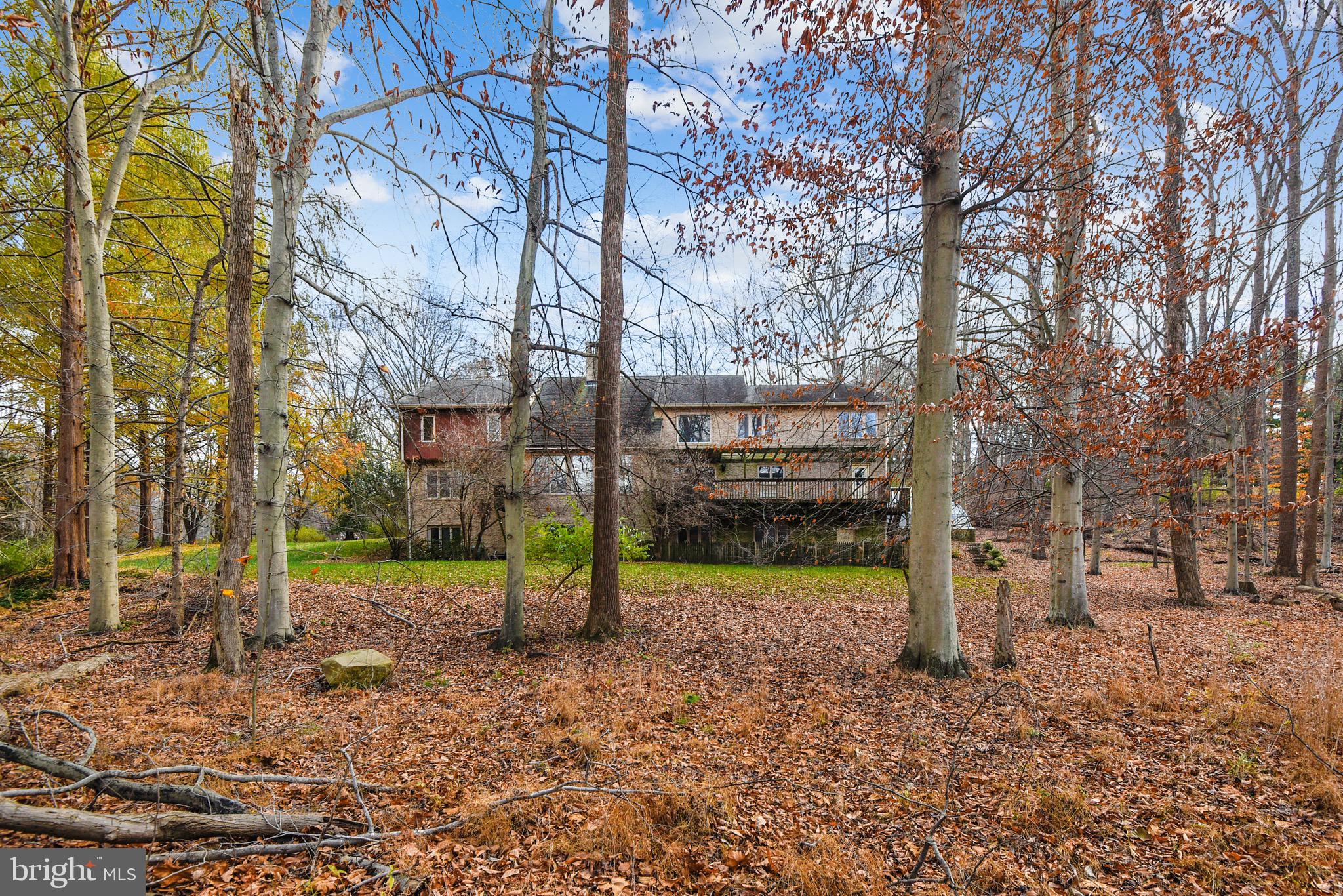 Gently sloping back yard goes down to a creek