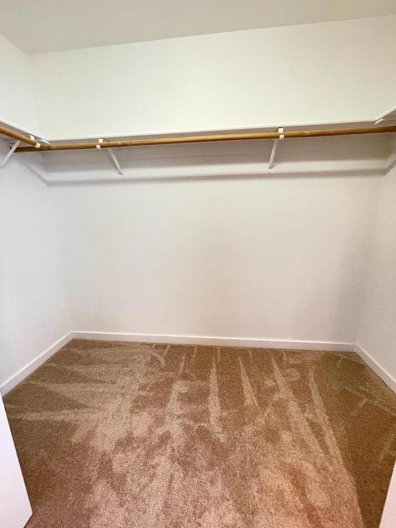 2516 Bailey Avenue San Jose, CA 95128 - Photo 22 of 54 a view of a room with shelf