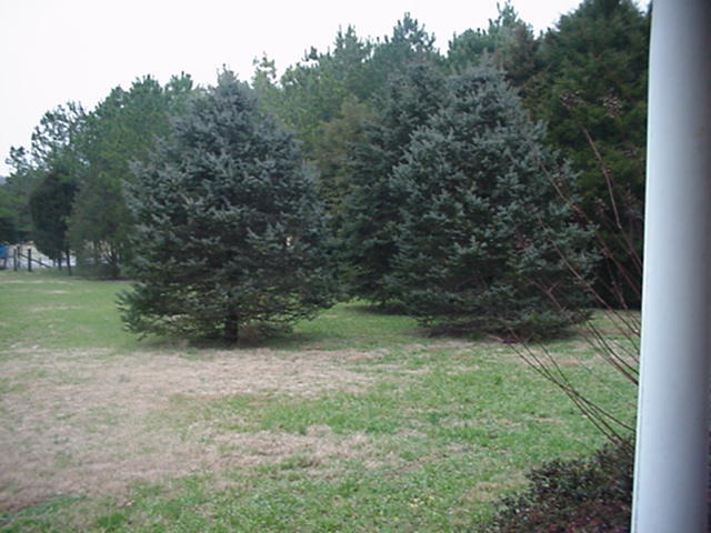 245 Hwy 58 Decatur, TN 37322 - Photo 8 of 8 Additional Photo