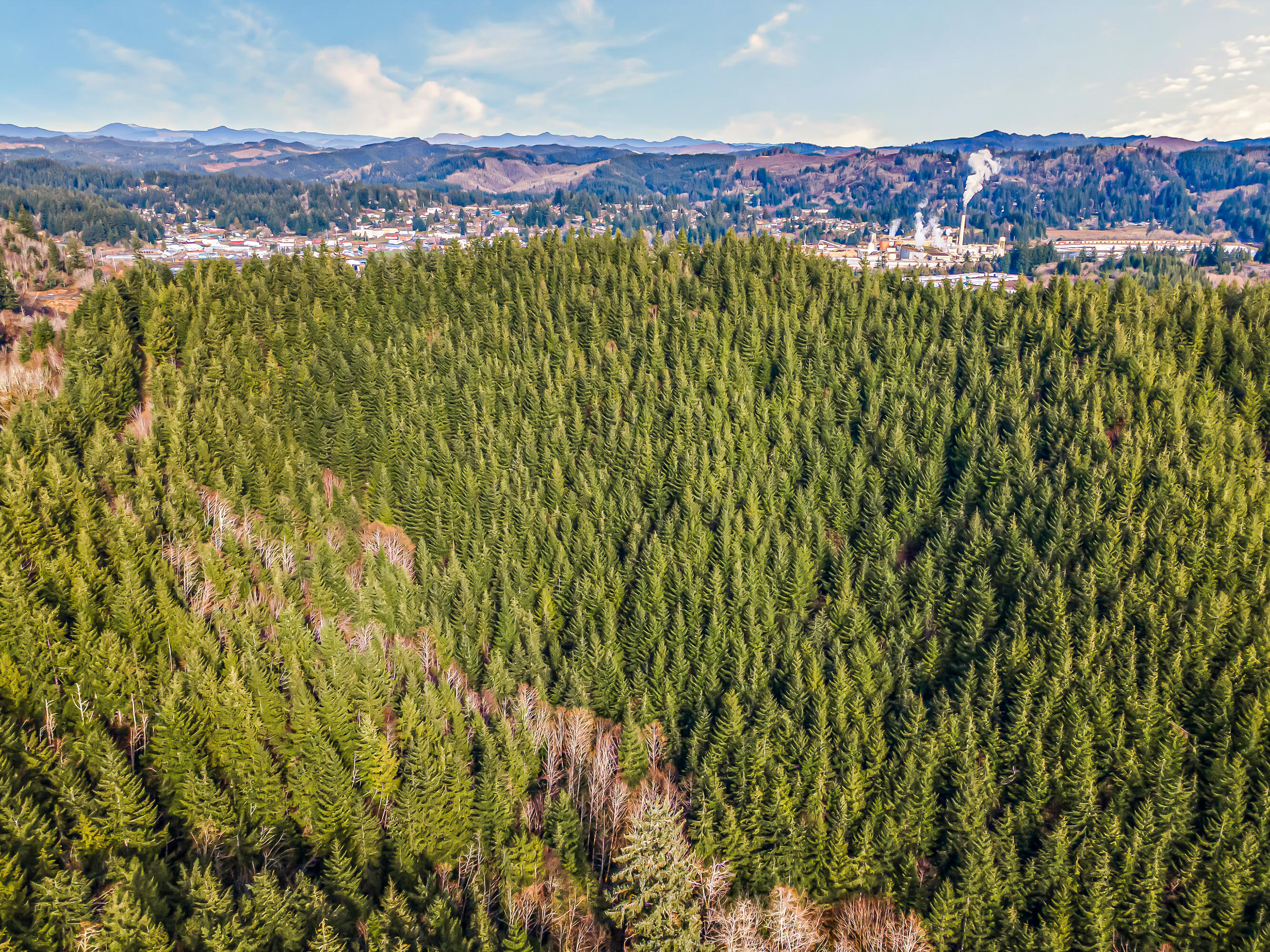 0 Criteser Loop Toledo, OR 97391 - Photo 6 of 31 DJI_0614